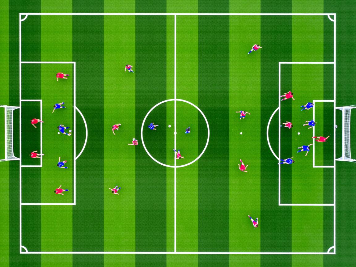 开云体育app-体育新闻中心开展体育内容创作者培育项目，体育新闻中心开展体育内容创作者培育项目活动