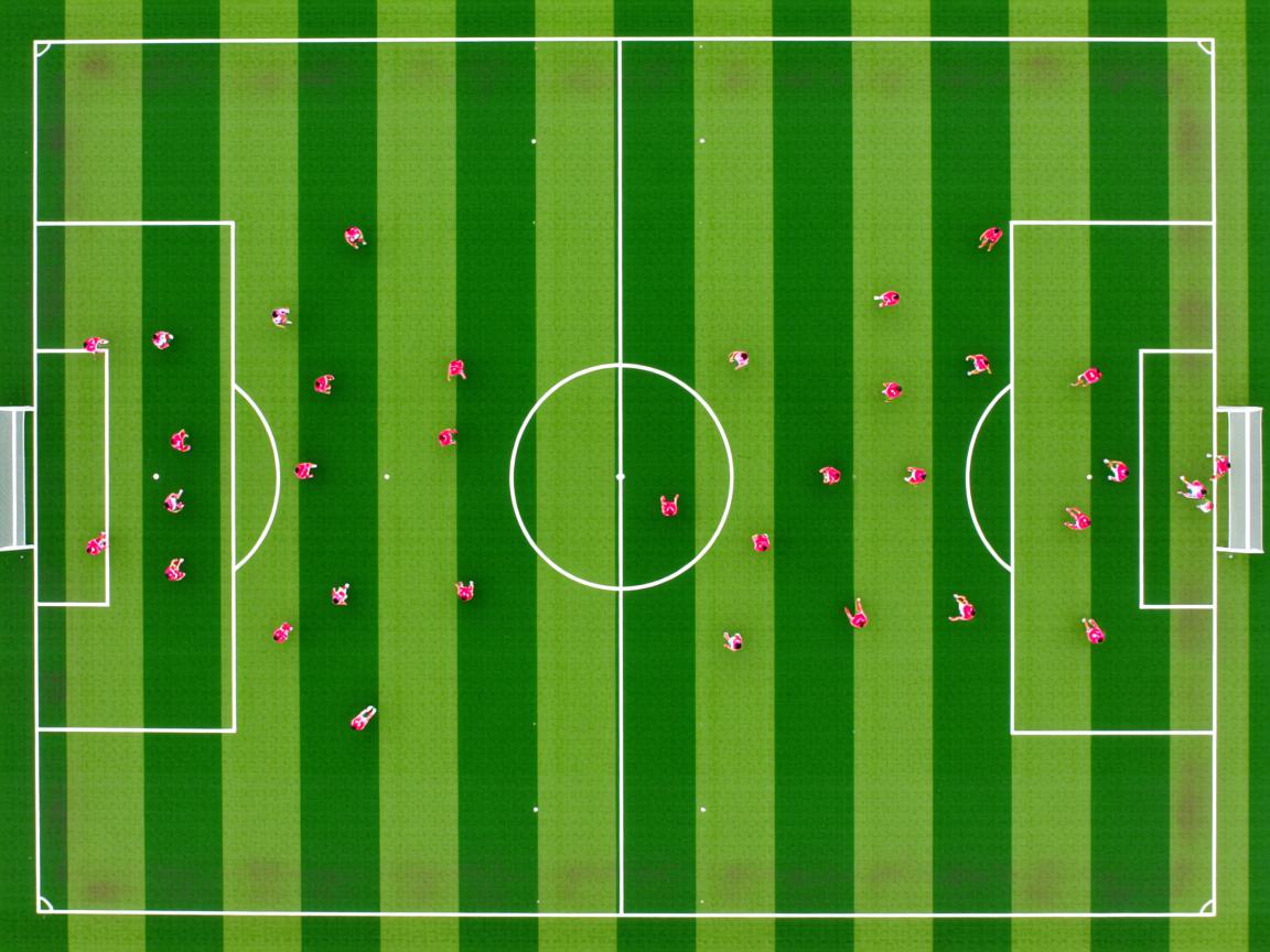 开云体育链接-体育社团活动纳入综合素质评价体系，体育社团活动纳入综合素质评价体系吗